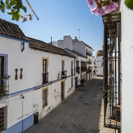 Apartamento Con Patio Cordobes En San Basilio & Parking Cordoba Exterior photo