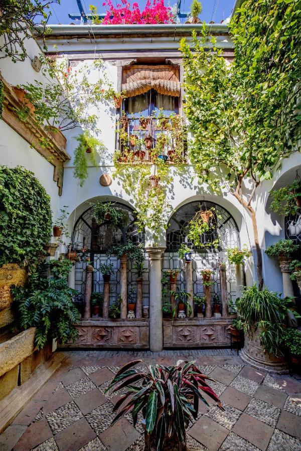 Appartement Con Patio Cordobés En San Basilio